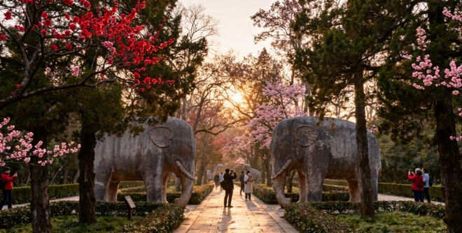 2025华东四城8日游：杭州西溪+上海博物馆文化体验最新路线(图9)