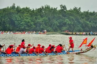 滚动新闻——体育节拍——北方网(图1)