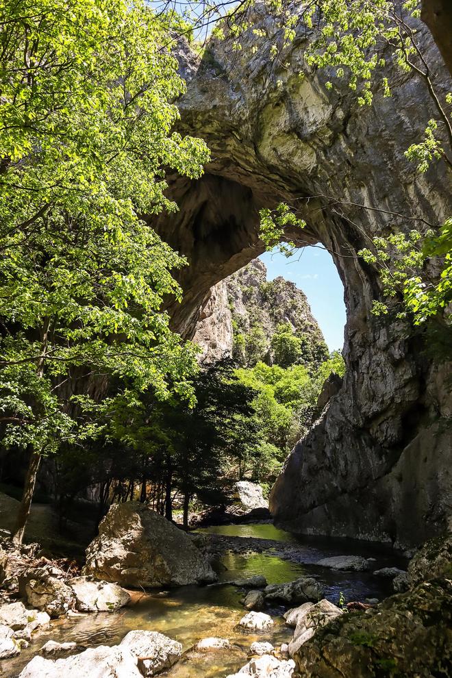 十五运会开幕式黑科技大揭秘：VR醒狮与AR龙舟如何颠覆传统？(图3)