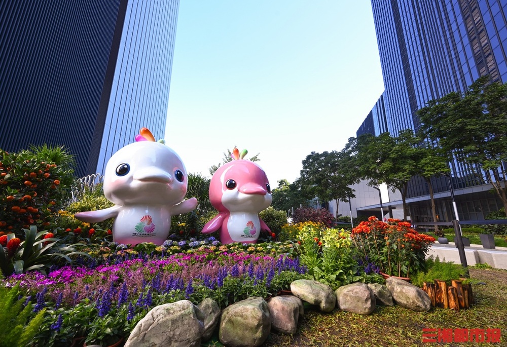 11月7日开始湖南运动员十五运集中冲金(图1)