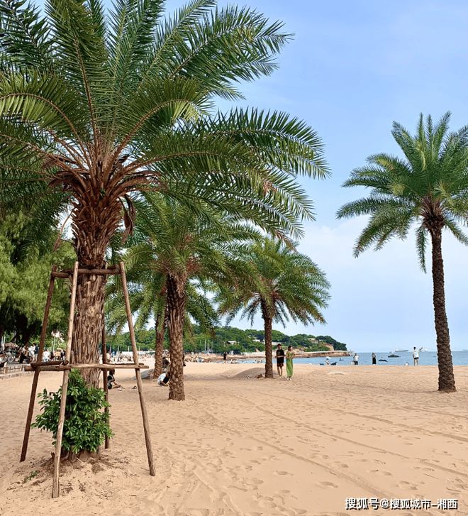 厦门旅游团四天三晚报价厦门旅游攻略4日游最佳方案(图2)