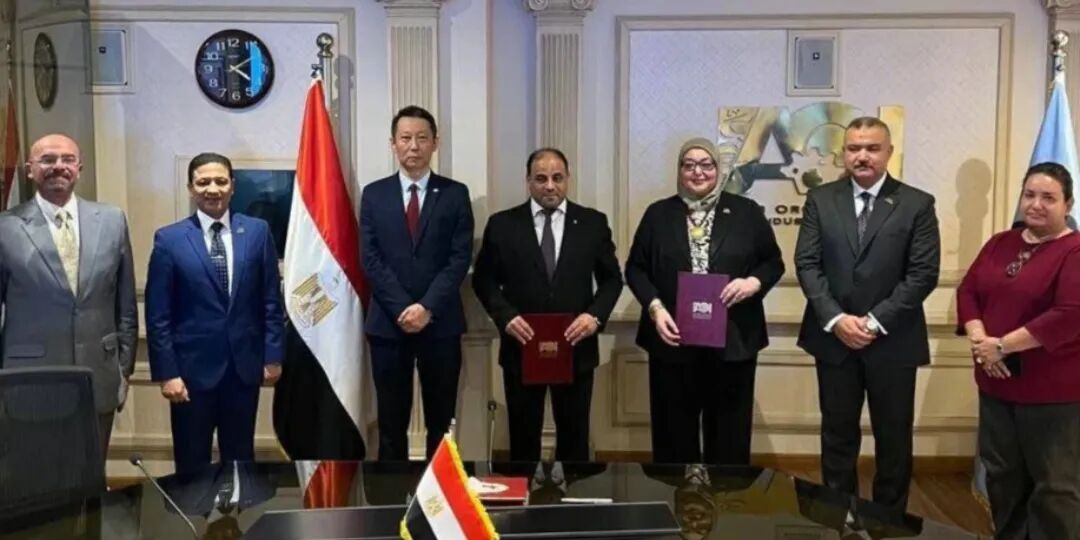 推动新能源制造合作！埃及签署框架协议建设太阳能组件生产线(图1)