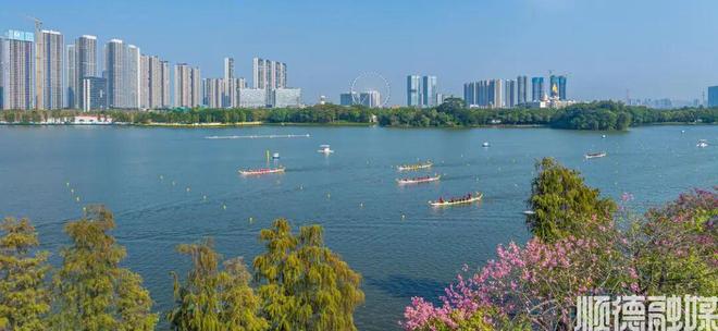 龙王聚首文体狂欢！中国体育彩票2025年中国龙舟大奖赛12月顺德燃情开赛(图2)