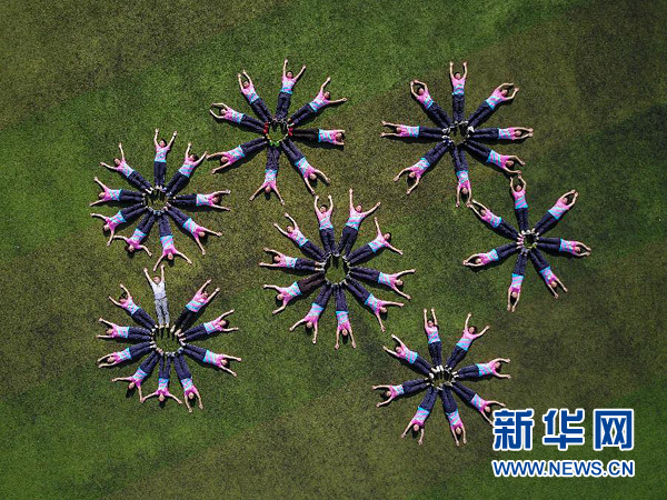 【文体艺苑】中国排协成立中国排球学院 郎平任院长(图5)