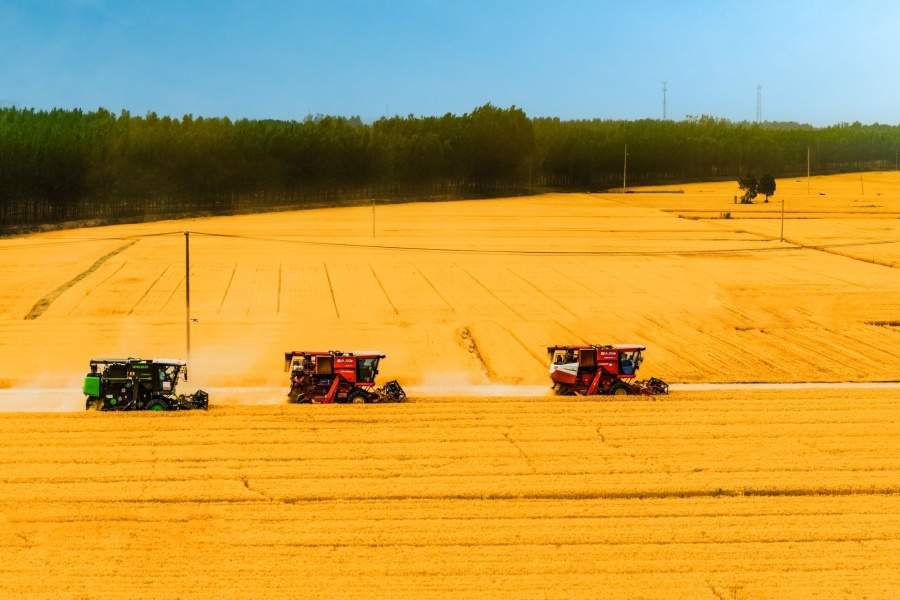 央媒省媒看聊城丨《大众日报》整版报道聊城：重塑发展“动力引擎” “两河明珠”耀齐鲁(图2)