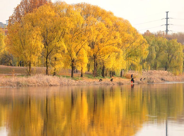 央媒省媒看聊城丨《大众日报》整版报道聊城：重塑发展“动力引擎” “两河明珠”耀齐鲁(图6)