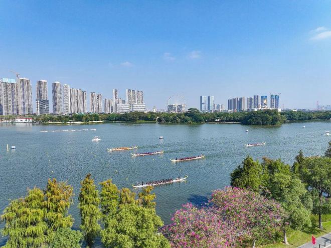 最高奖金18万元！40支龙舟劲旅竞逐顺峰山公园桂畔湖你“撑”哪一队？