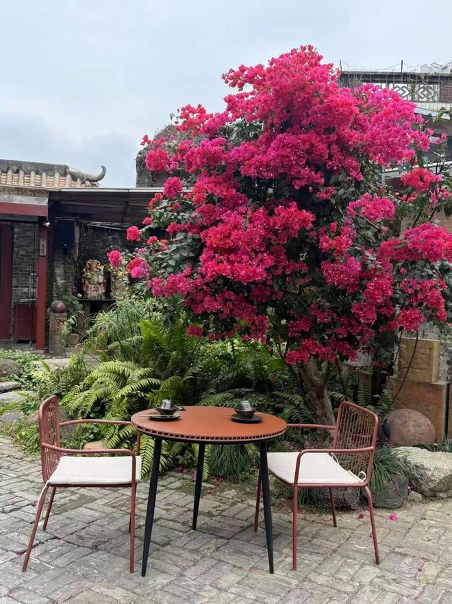 还在一线城市“漂”？这届打工人更愿意来佛山(图7)