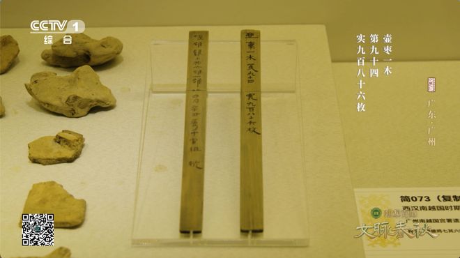 广东广州：2000多年未打烊的岭南商埠(图3)