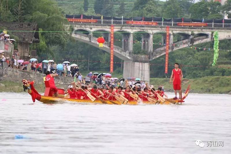 广东龙舟比赛现场画面(图1)