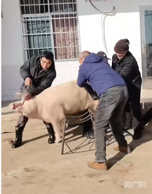 湖南一女子邀网友共享杀猪宴 1月18日开席(图1)