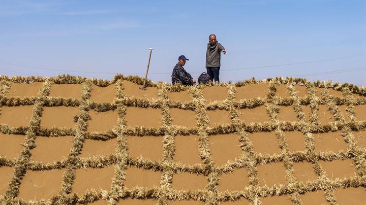 绿润丝路 沙海生金——全球荒漠化治理的中国智慧(图2)