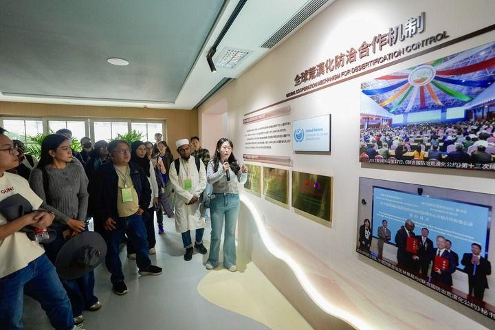 绿润丝路 沙海生金——全球荒漠化治理的中国智慧(图7)