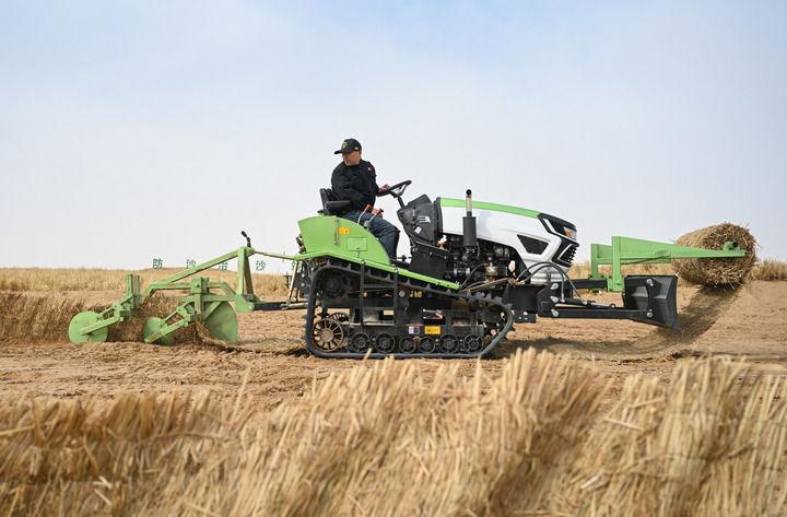 绿润丝路 沙海生金——全球荒漠化治理的中国智慧(图10)