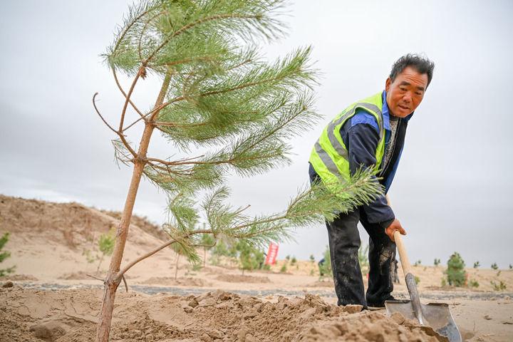 绿润丝路 沙海生金——全球荒漠化治理的中国智慧(图11)