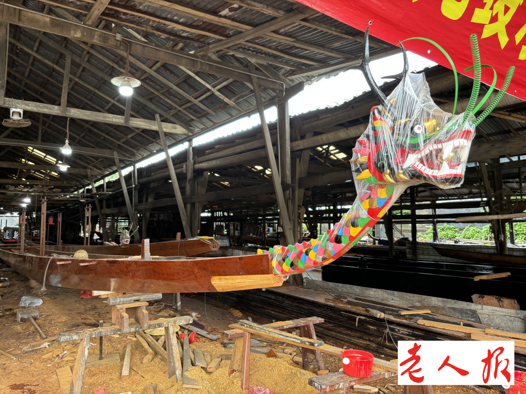 端午话龙舟 龙船制作有讲究 选材接驳技艺优(图5)