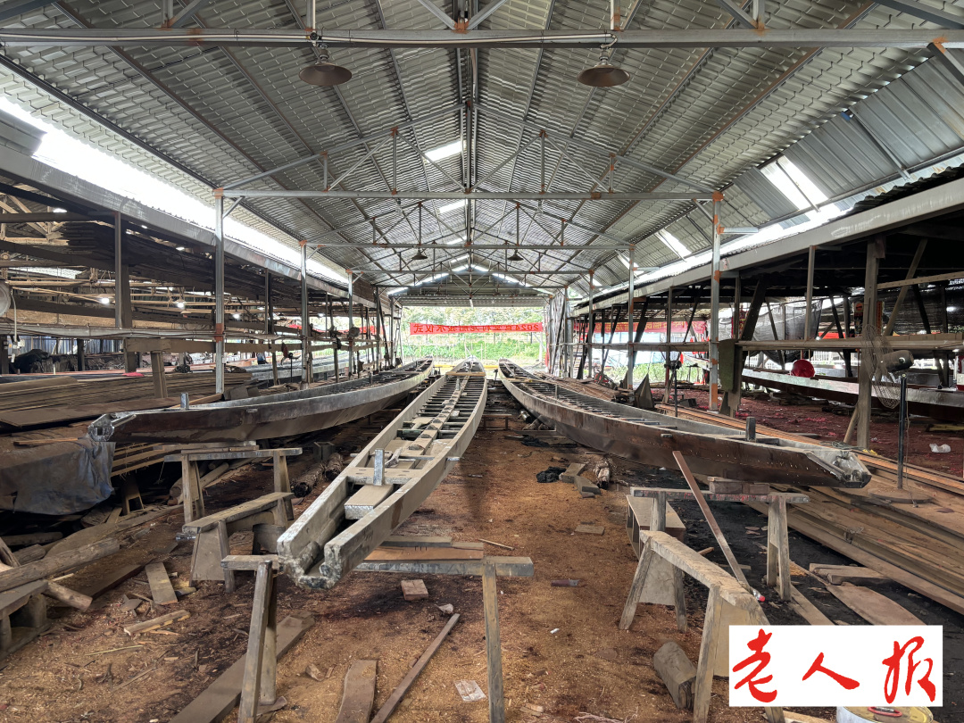 端午话龙舟 龙船制作有讲究 选材接驳技艺优(图3)