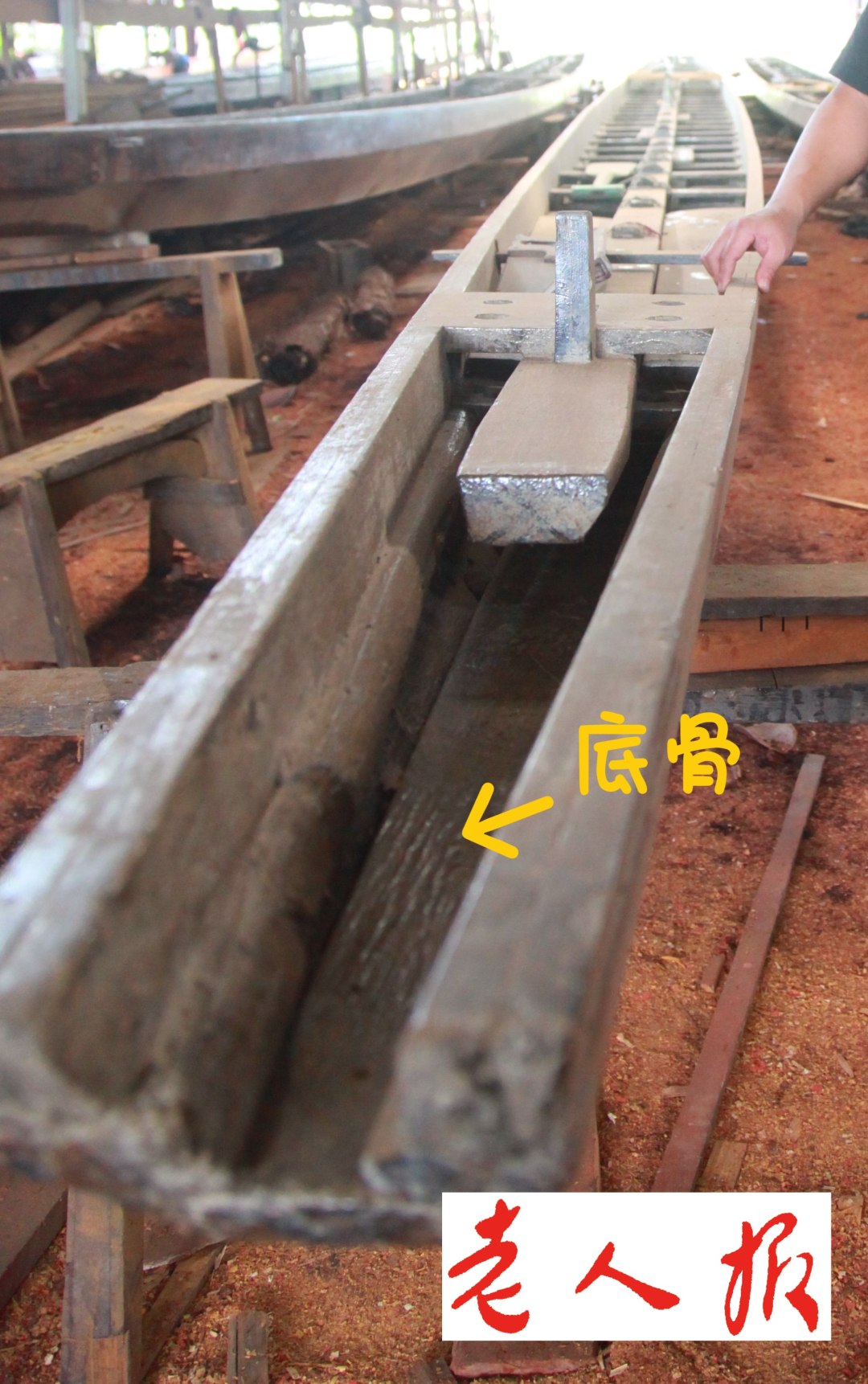 端午话龙舟 龙船制作有讲究 选材接驳技艺优(图7)