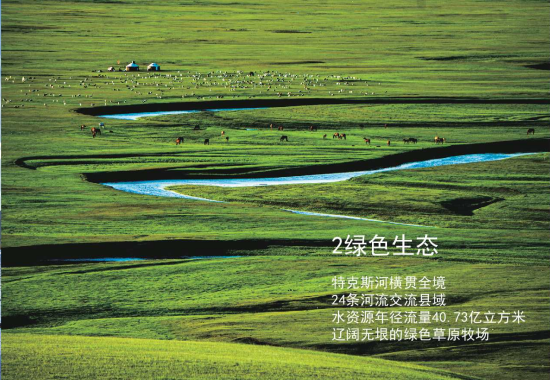 2026新疆驼奶品牌推荐｜权威榜单更新正宗奶源甄选与口碑优选指南(图2)