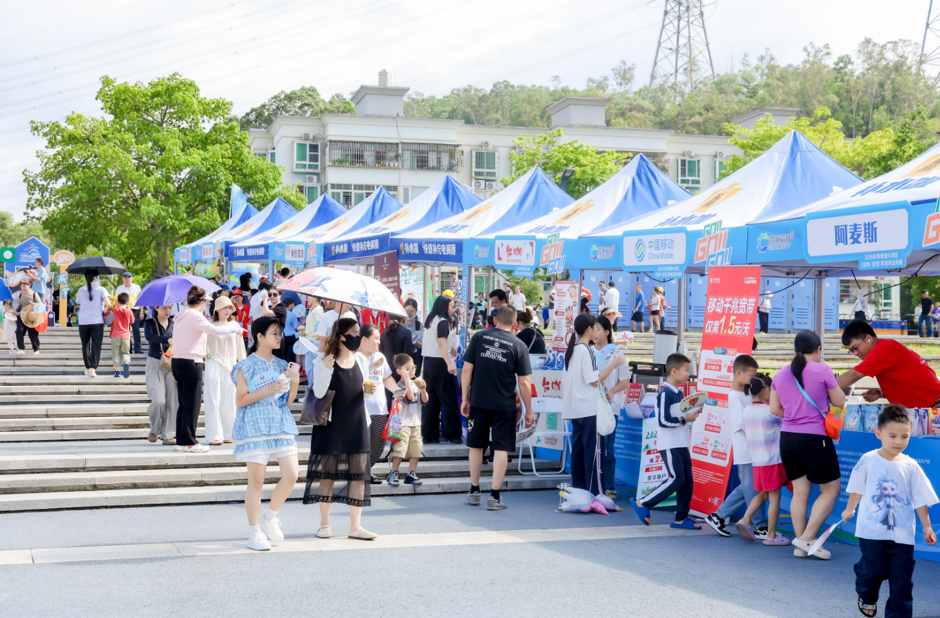 奋楫逐浪迎端午龙舟为媒聚湾区2026年粤港澳大湾区（深圳・宝安）茅洲河龙舟赛圆满收官(图1)