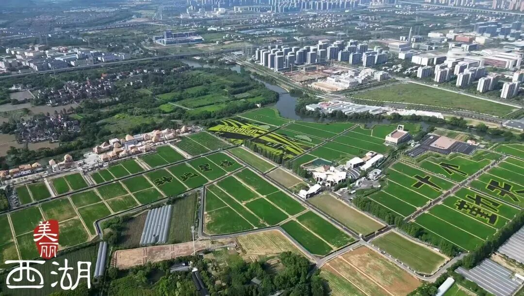 一部综艺带火一座城！揭秘《种地吧》背后的“西湖力量”(图1)