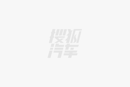 领克车主寻色派对｜龙舟体验圆满落幕热血回忆定格美好(图2)