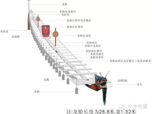 端午节是怎么划龙舟的(图1)